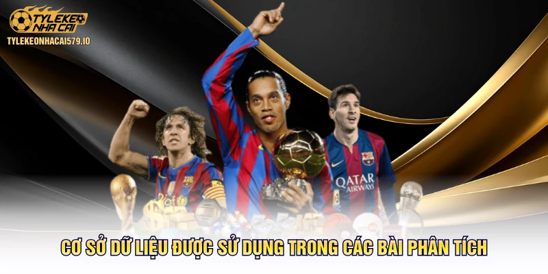Cơ sở dữ liệu được sử dụng trong các bài phân tích