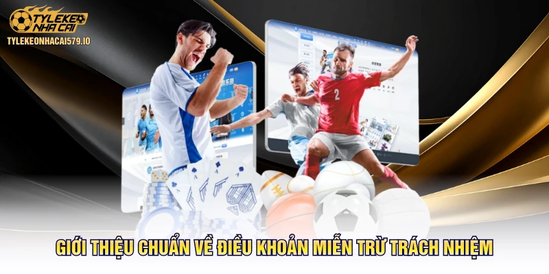Giới thiệu chuẩn về điều khoản miễn trừ trách nhiệm