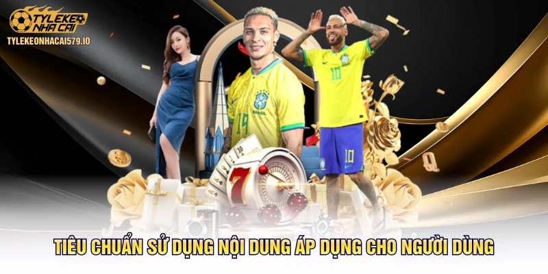 Tiêu chuẩn sử dụng nội dung áp dụng cho người dùng