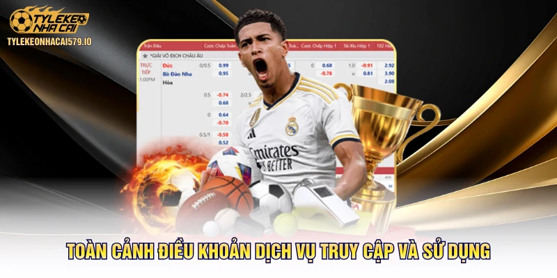 Toàn cảnh điều khoản dịch vụ truy cập và sử dụng